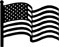 Carol Todaro - Flag