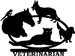 Marshall Bulle - Veterinarian
