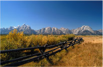 Schwabacher