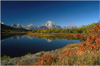Schwabacher