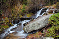Silky Stream