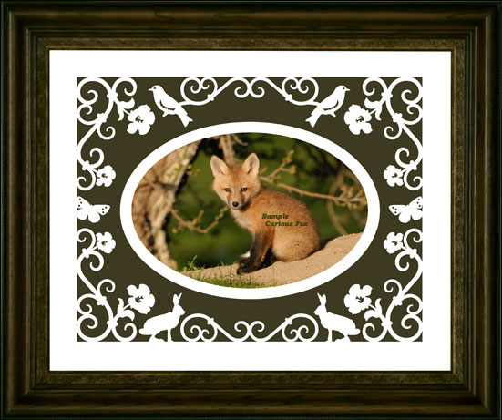 Curious Fox