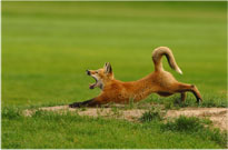 Stretch Time