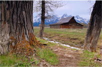 Schwabacher